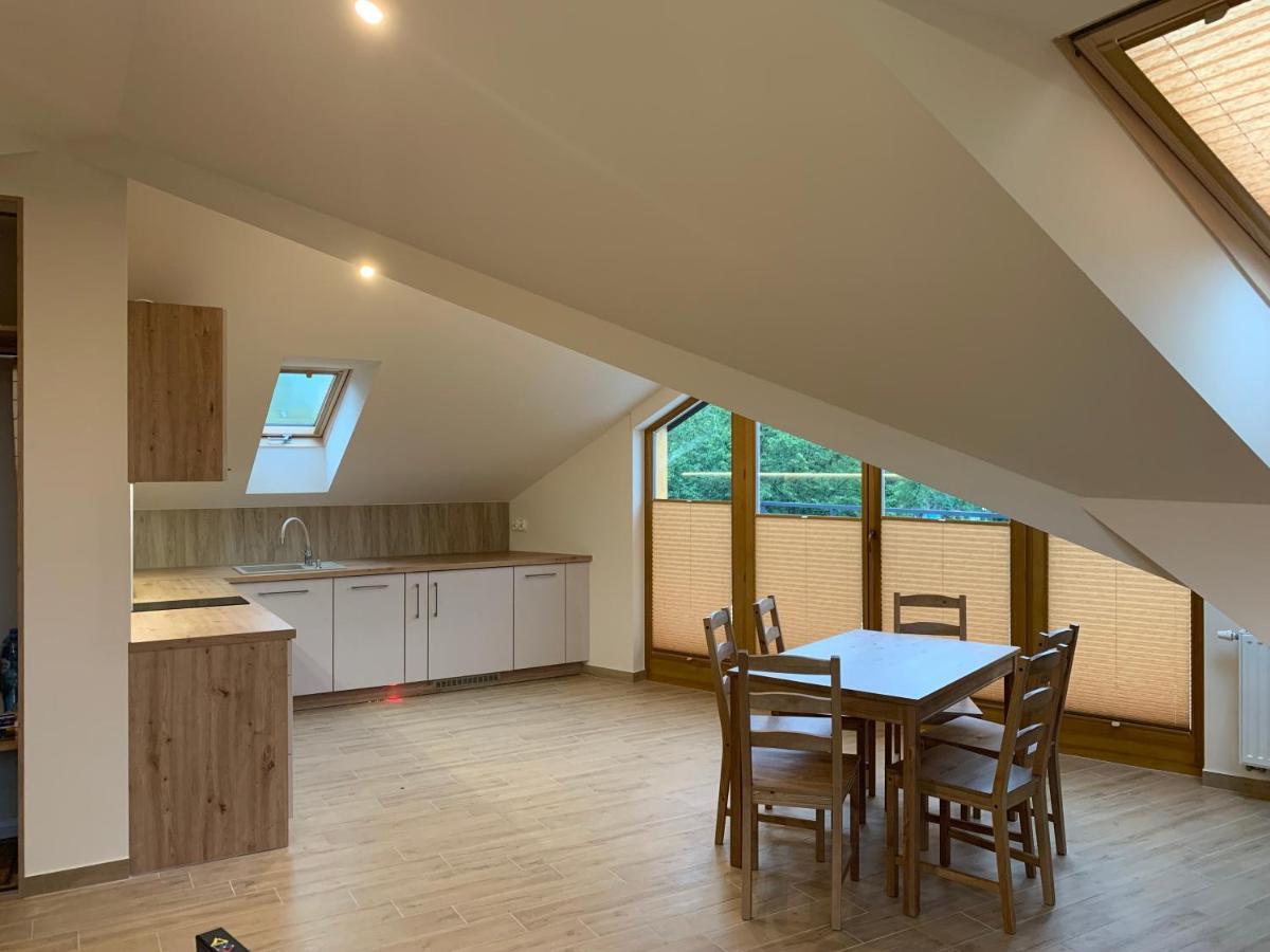 Mlynek Parkowa Apartment Zakopane Ngoại thất bức ảnh