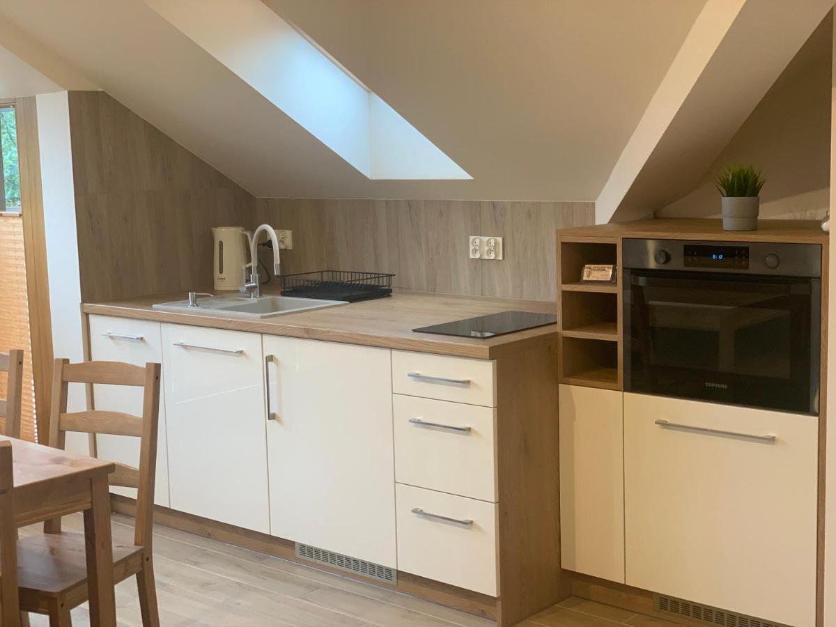 Mlynek Parkowa Apartment Zakopane Ngoại thất bức ảnh