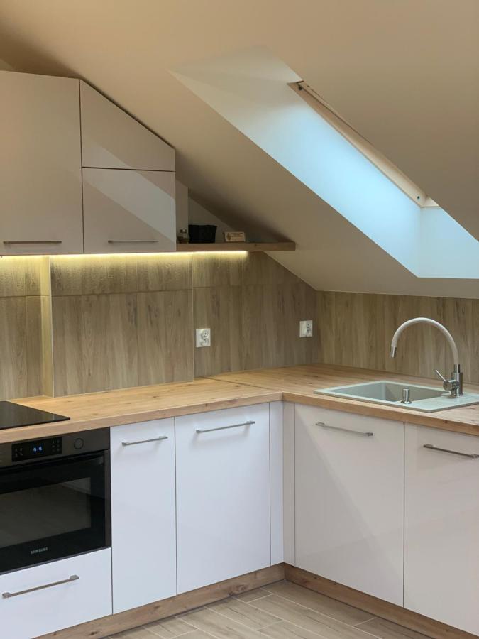 Mlynek Parkowa Apartment Zakopane Ngoại thất bức ảnh
